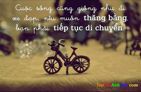 Võ Sinh Lừng Danh: Chuyện Tình Tri Kỷ & Cuộc Chiến Đánh Giành Quyền Lực!